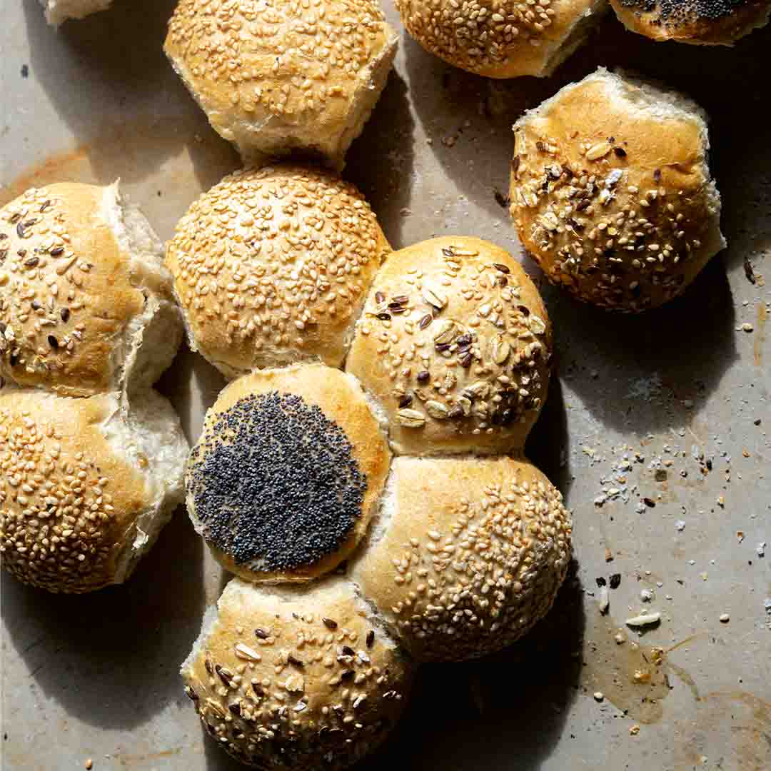 Brotblume