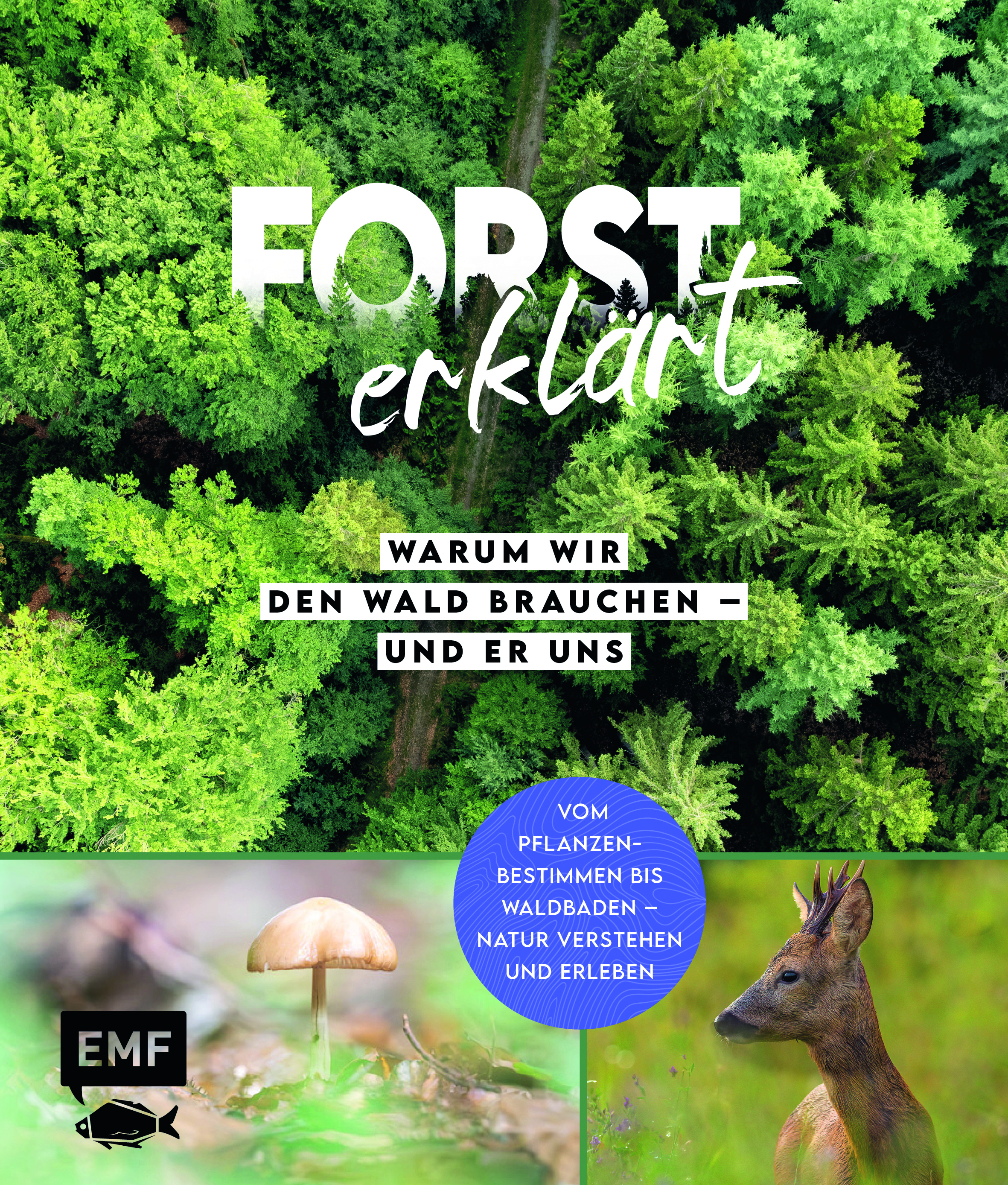 Forst erklärt: Warum wir den Wald brauchen – und er uns