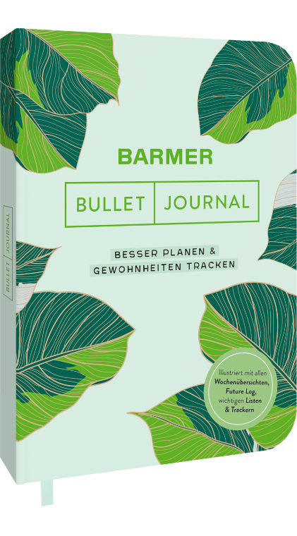 Barmer Bullet Journal